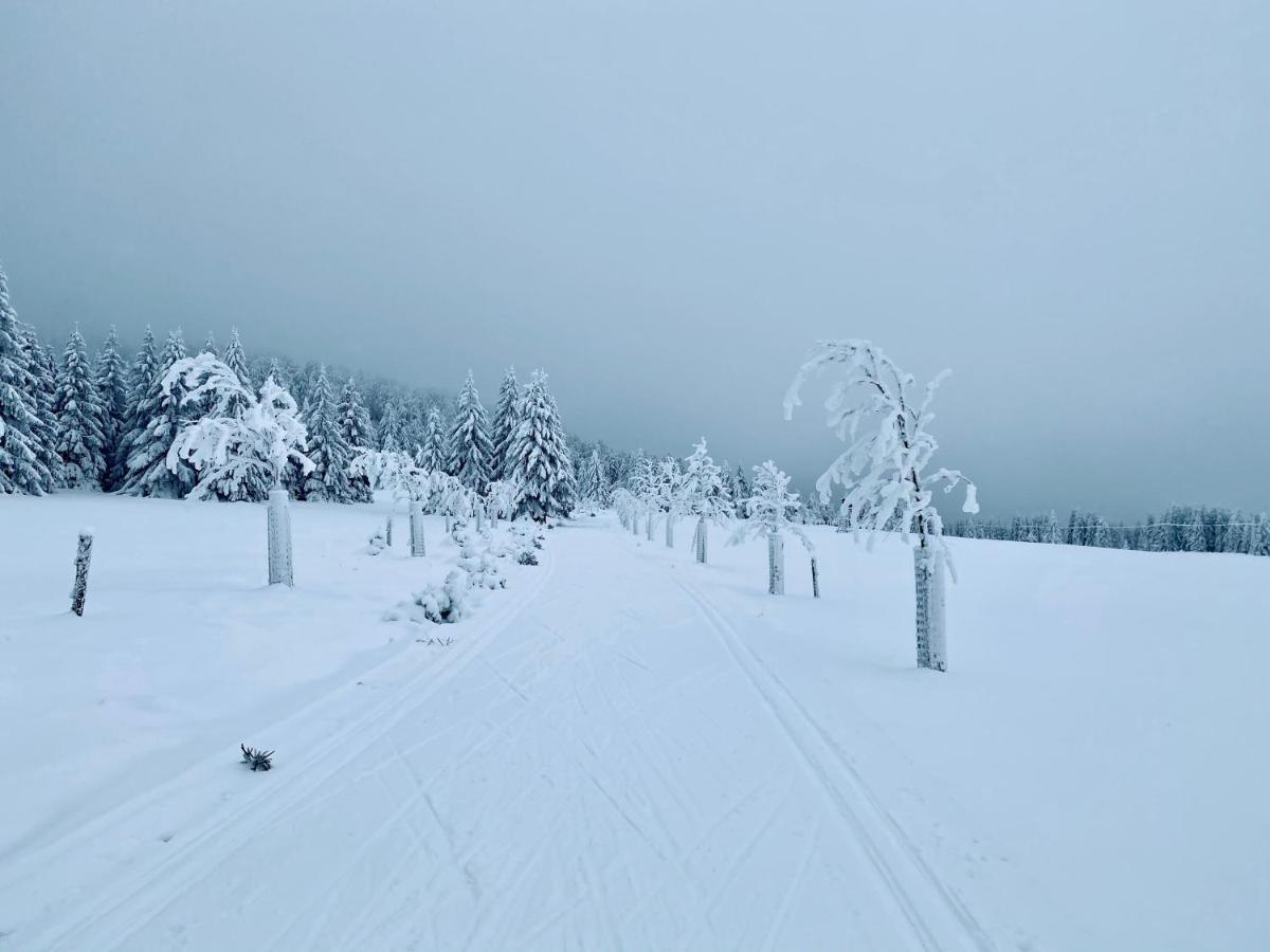 Vila Jáchymov Exterior foto